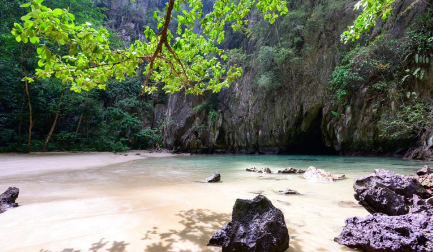 รูปที่4